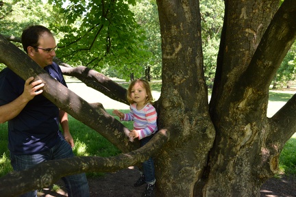Playing in the trees in the Tiergarten2